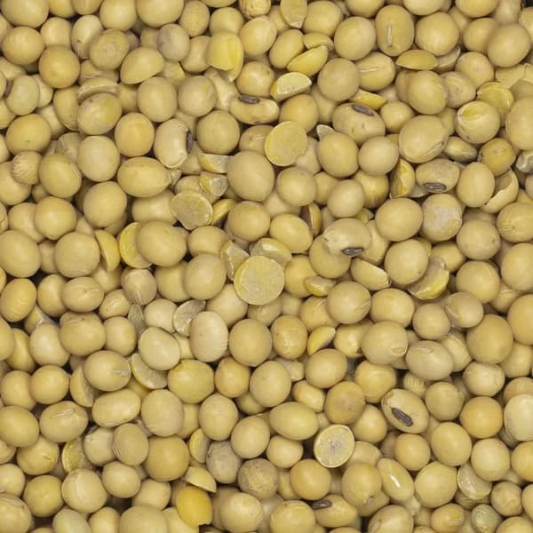 Sojabönor 500 g