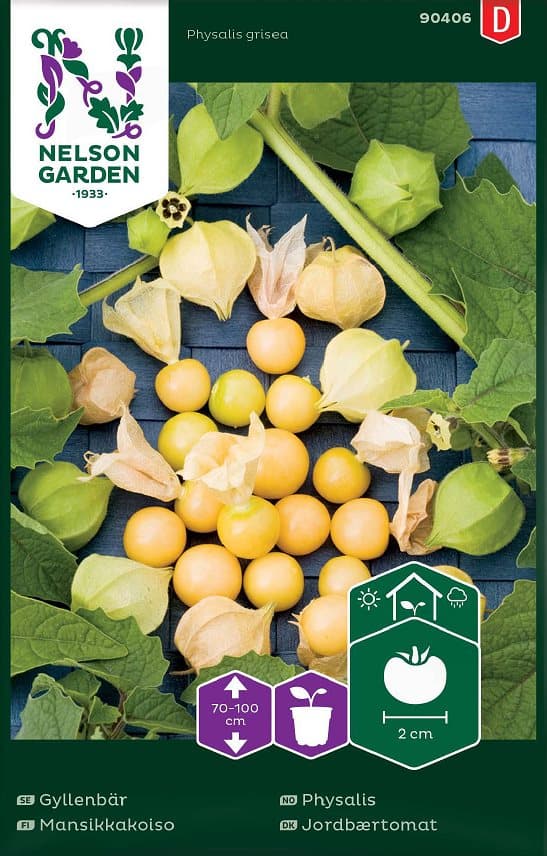 Gyllenbär/Physalis