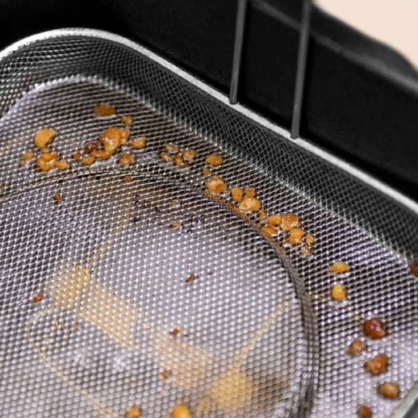 Elektrisk fritös - Cecotec - CleanFry Advance - 1,5 L - 900 W - Rostfritt stål