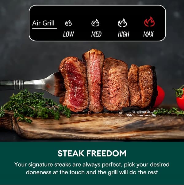 Chefree grillfriture FEDT FRI 6 l stor
