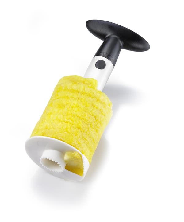 Pineapple slicer
