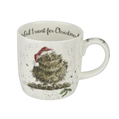 Wrendale Design Christmas Owl I want for Christmas (owl) mugg 0.31L