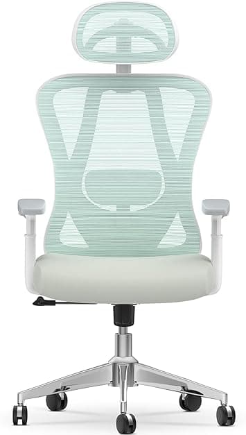 naspaluro Ergonomisk kontorstol, skrivebordsstol med justerbar korsryggstøtte, hodestøtte og armlener, høydejustering, vippefunksjon, svingstol kan ho