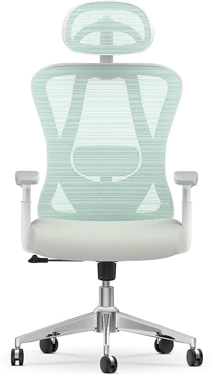 naspaluro Ergonomisk kontorstol, skrivebordsstol med justerbar korsryggstøtte, hodestøtte og armlener, høydejustering, vippefunksjon, svingstol kan ho