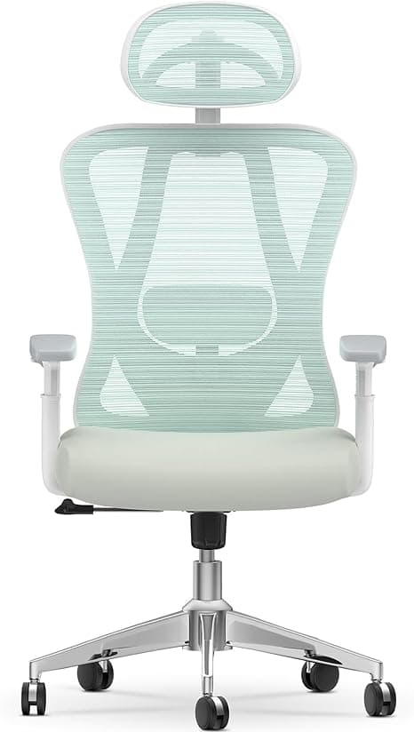 naspaluro Ergonomisk kontorstol, skrivebordsstol med justerbar korsryggstøtte, hodestøtte og armlener, høydejustering, vippefunksjon, svingstol kan ho
