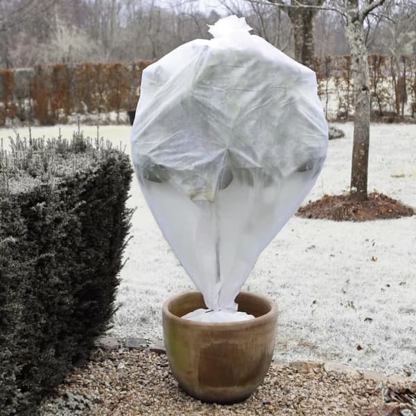 Natur Vinterbetræk 230 g/m² 0,75x1 m jute natur