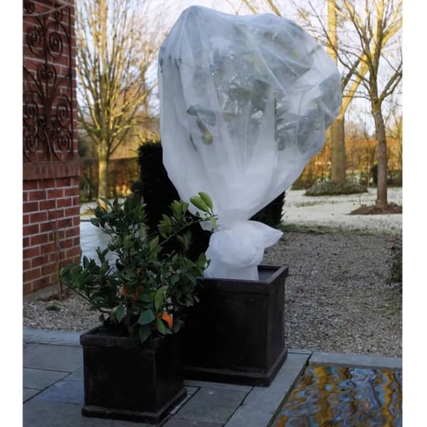 Nature Talvisuoja 30 g/m² 2x5 m valkoinen
