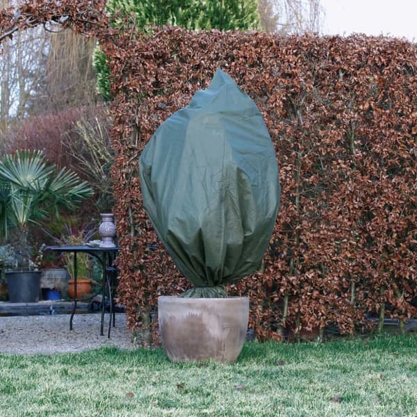 Nature Vinterovertræk 70 g/m² 2,5x3 m grønt