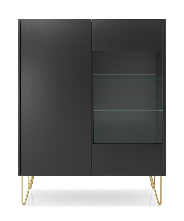 FURNLUX VITRIINI HARMONIA MUSTA & KULTA 97CM