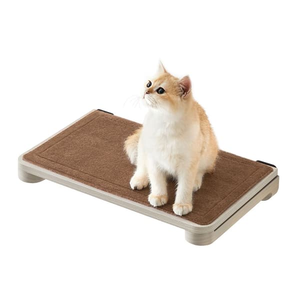 Clickat Collection - Nr 007 Väggtavla för katt
