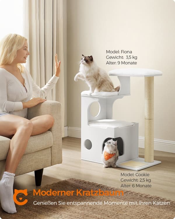 Klösträd 86 cm med hålighet och pelare