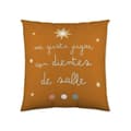 Miniatyrbillede 1 af 2: Cushion cover Haciendo el Indio Ice Age (40 x 40 cm)