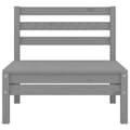 Miniatyrbillede 2 af 5: midtermodul til havesofa massivt fyrretræ grå