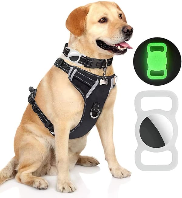 INF Apple AirTag hållare till katt/hundhalsband - Lyser i mörkret/grön