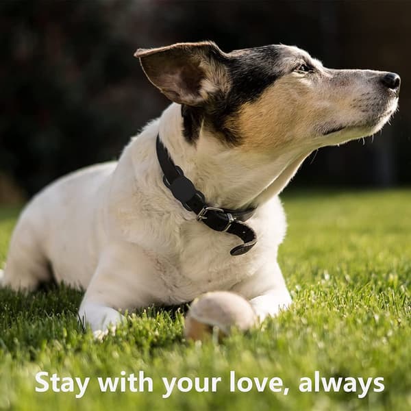INF AirTag skal till hundhalsband silikon Svart 2-pack