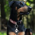 Pikkukuva 5 / 8: SULADA PU Nahka AirTag pidike avainrenkaalla varustettuna - Punainen