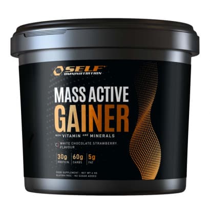 Self Omninutrition Active Whey Gainer, 4 kg