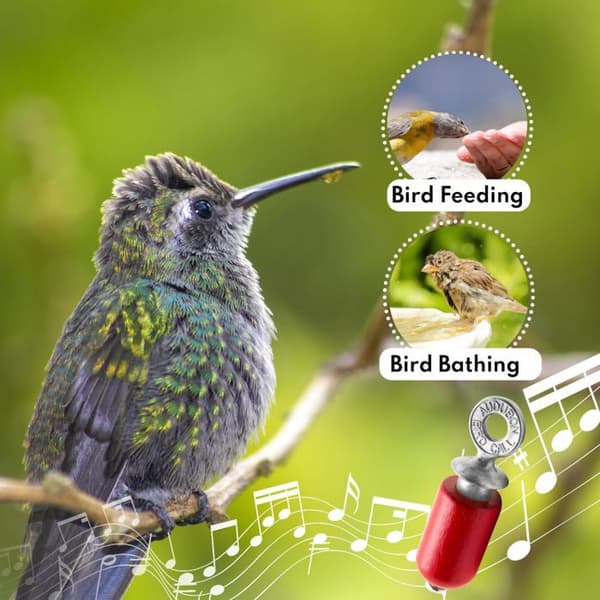 Samtal - ringer - Husdjurs mediasamtalshållare - 3 - Audubon Bird Call i björkträ och metall