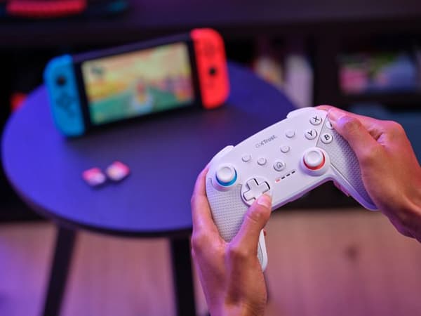 Gamepad - AIQINU - Muta - Vit - Trådlös och trådbunden anslutning - Nintendo Switch-kompatibel