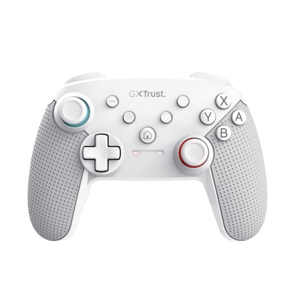 Gamepad - AIQINU - Muta - Vit - Trådlös och trådbunden anslutning - Nintendo Switch-kompatibel
