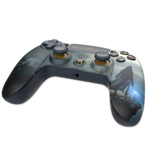 Controller- Hogwarts Legacy - Landskap-tillbehör-PS4
