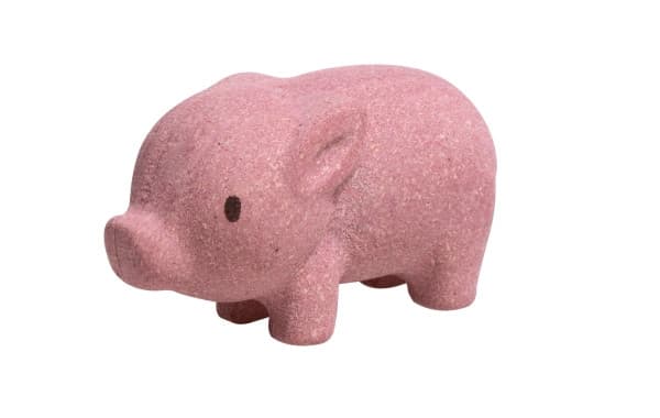 Plan Toys - Gris