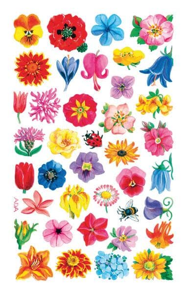 Avery AV-54304 Paperitarra Z-design Creative Pack A 3 arkkia kukkia