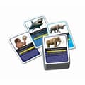 Pikkukuva 5 / 6: Educational Game Clementoni Dinosaures et préhistoire (FR)