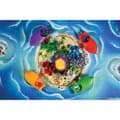 Miniatyrbillede 4 af 5: Board game Asmodee Bermuda Pirates (FR)
