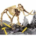 Miniatyrbild 2 av 4: Educational Game Lisciani Giochi I'm GENIUS Super Kit Mammoth