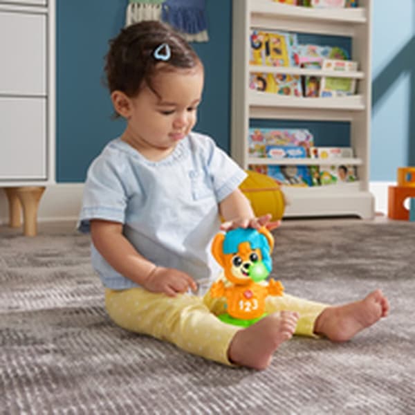 Educational Game Fisher-Price Link Squad Fox Opposites