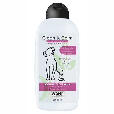 Wahl Clean and Calm, Shampo koncent