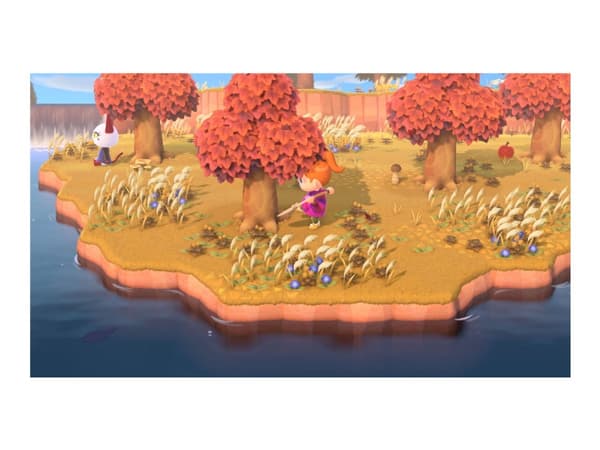 Animal Crossing New Horizons - Nintendo Switch