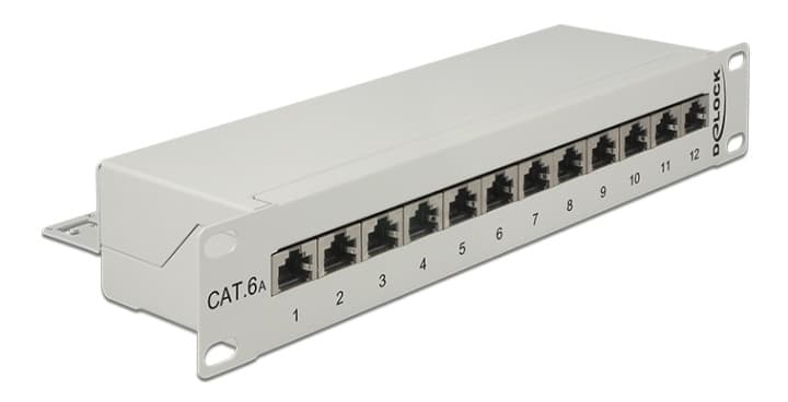 Delock 10" Patch Panel 12 Portar, Cat.6A grå