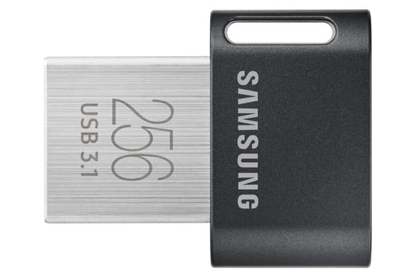 Samsung MUF-256AB USB-minnepinne 256 GB USB Type-A 3.2 Gen 1 (3.1 Gen 1) Grå, sølv