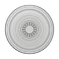 Miniatyrbilde 2 av 9: PopSockets PopGrip Plant Faded Stone