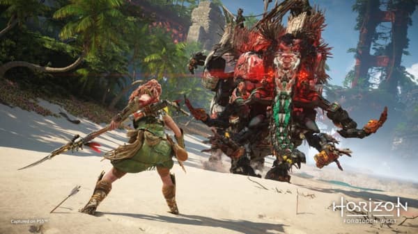 Sony Horizon: Forbidden West (PS5)