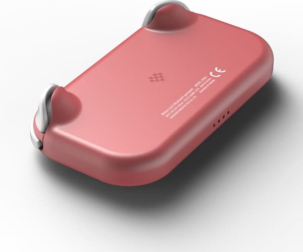 8BitDo Lite 2 Game Controller, Pink, Switch