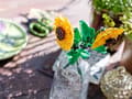 Miniatyrbild 5 av 7: LEGO Botanical 40524  - Solrosor