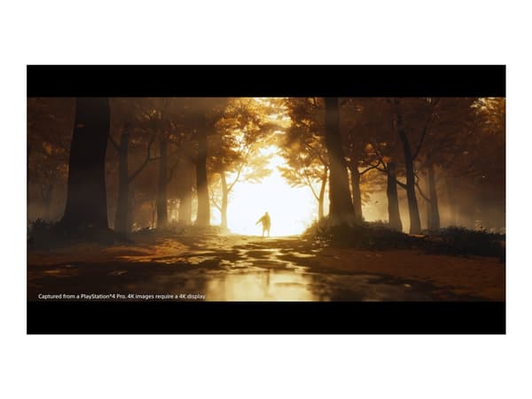 Ghost of Tsushima Director's Cut - Director's Cut - PlayStation 5