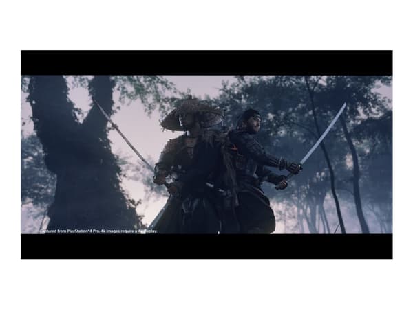 Ghost of Tsushima Director's Cut - Director's Cut - PlayStation 5