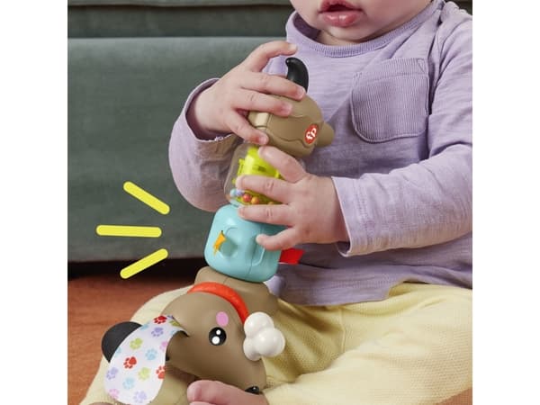 Fisher Price Click & Spin Activity Pup CDU