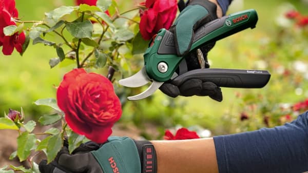 SEKATÖR EASY PRUNE 3,6V