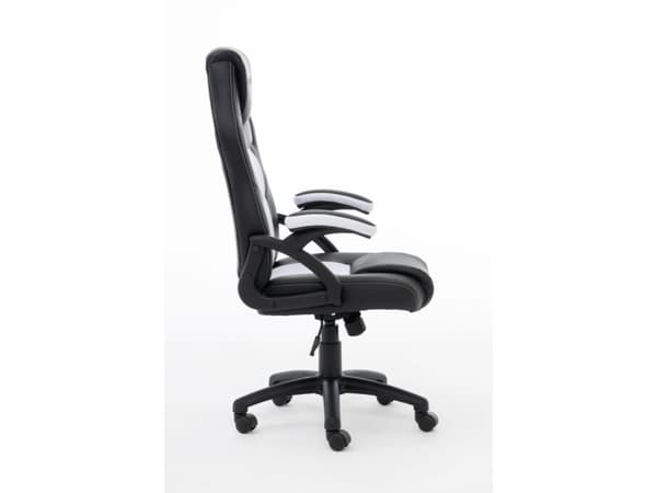 Raptor Gaming RG-GS-40, Spelfåtölj, 120 kg, Stoppad sits, Stoppat ryggstöd, Svart, Svart