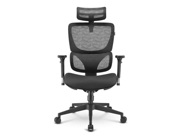 Sharkoon OfficePal C30 - Stol - ergonomisk - høy bakside - armlener - T-formet - tipping - roterende - nylon, maskestoff, høytetthets støpt skum - sv