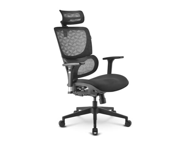 Sharkoon OfficePal C30 - Stol - ergonomisk - høy bakside - armlener - T-formet - tipping - roterende - nylon, maskestoff, høytetthets støpt skum - sv
