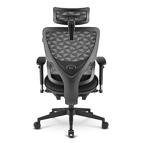 SHARKOON OFFICEPAL C30 SVART/GRÅ GAMINGSÄTTE SVART + GRÅ (4044951038558)