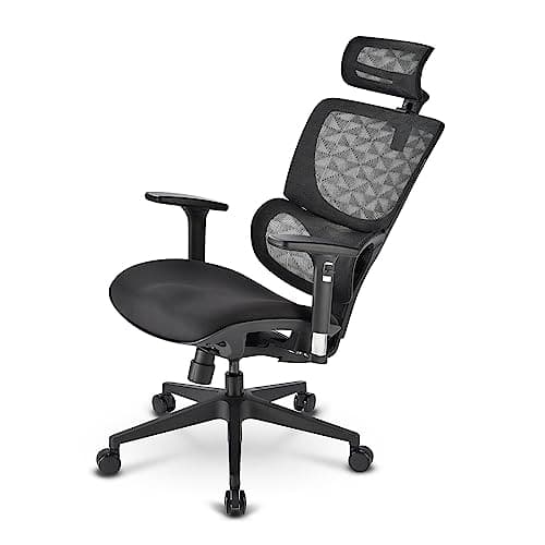 SHARKOON OFFICEPAL C30 SVART/GRÅ GAMINGSÄTTE SVART + GRÅ (4044951038558)