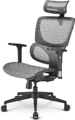 SHARKOON OFFICEPAL C30M GRÅ GAMING SEAT GRÅ (4044951038565)