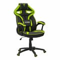 Miniatyrbillede 1 af 3: Gaming-stol Woxter GM26-056 Grøn 62 x 71 x 116 cm